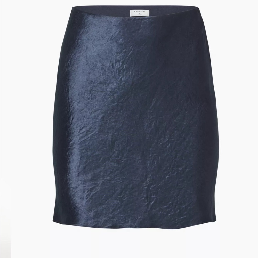 Aritzia Babaton Slip Mini Skirt